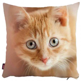 Kedili Yastık Kılıfı-46